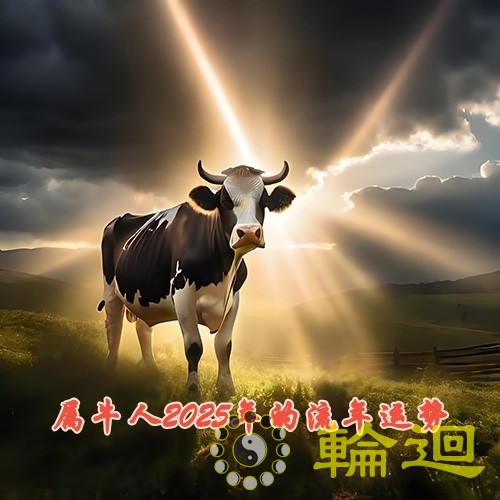 属牛人2025年的流年运势