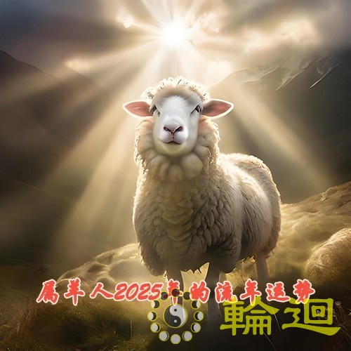 属羊人2025年的流年运势