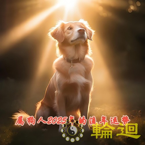 属狗人2025年的流年运势