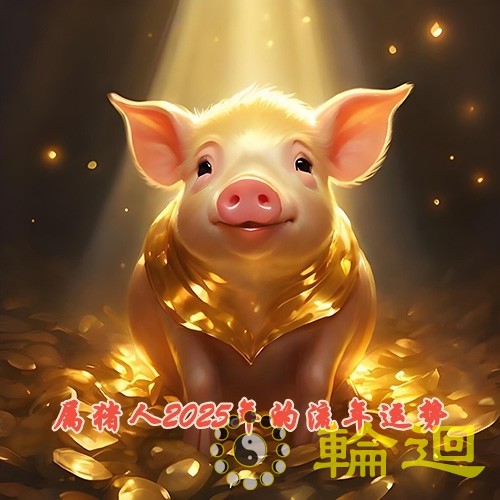 属猪人2025年的流年运势