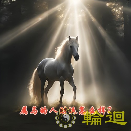 属马的人财运怎么样？属马的人有偏财运吗？