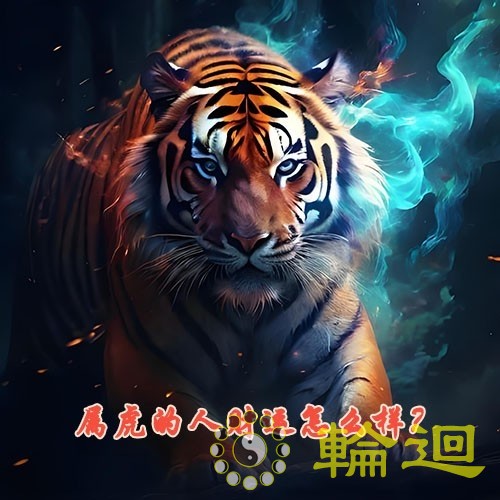 属虎的人财运怎么样？属虎的人有偏财运吗？
